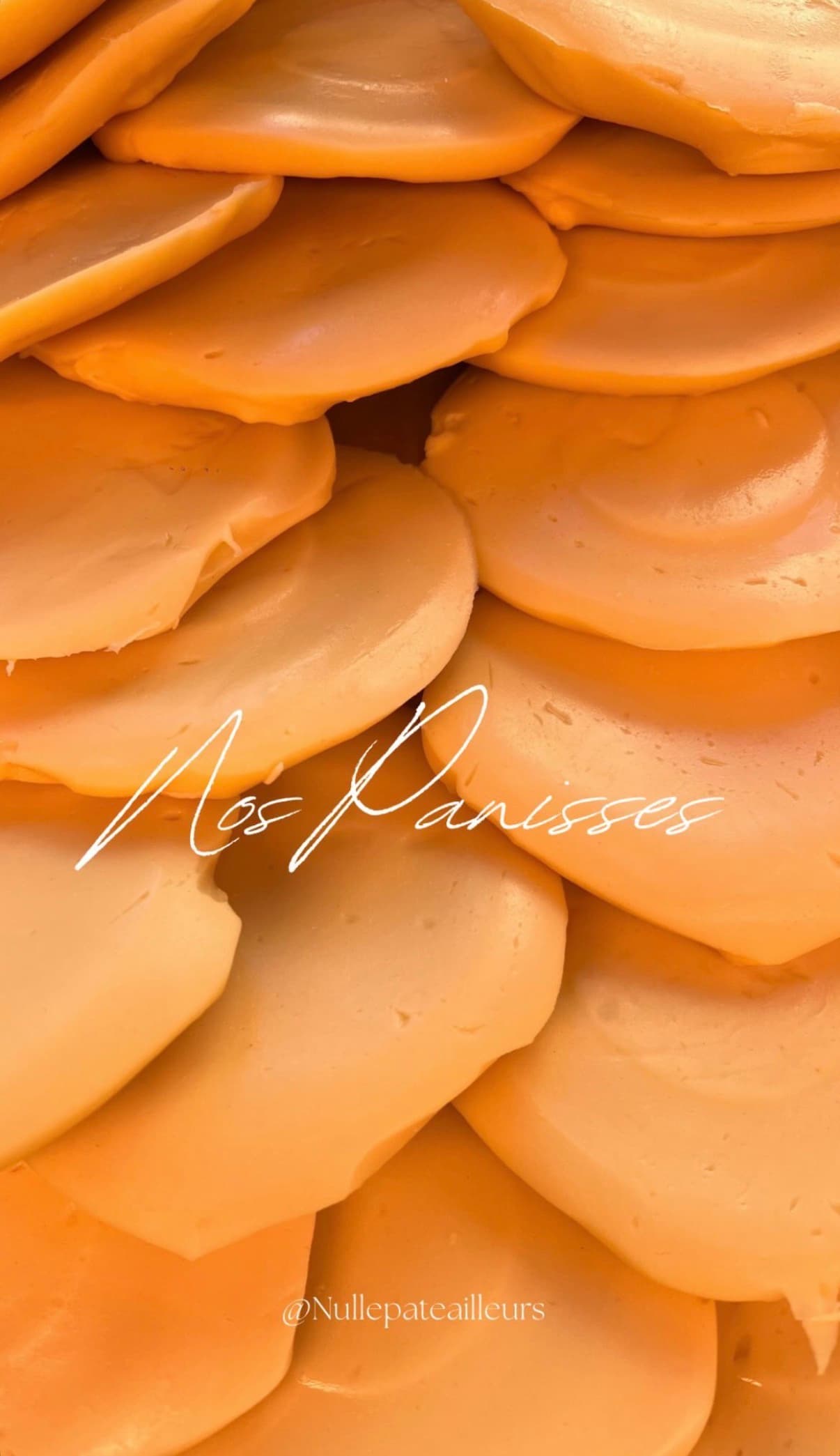 Panisses