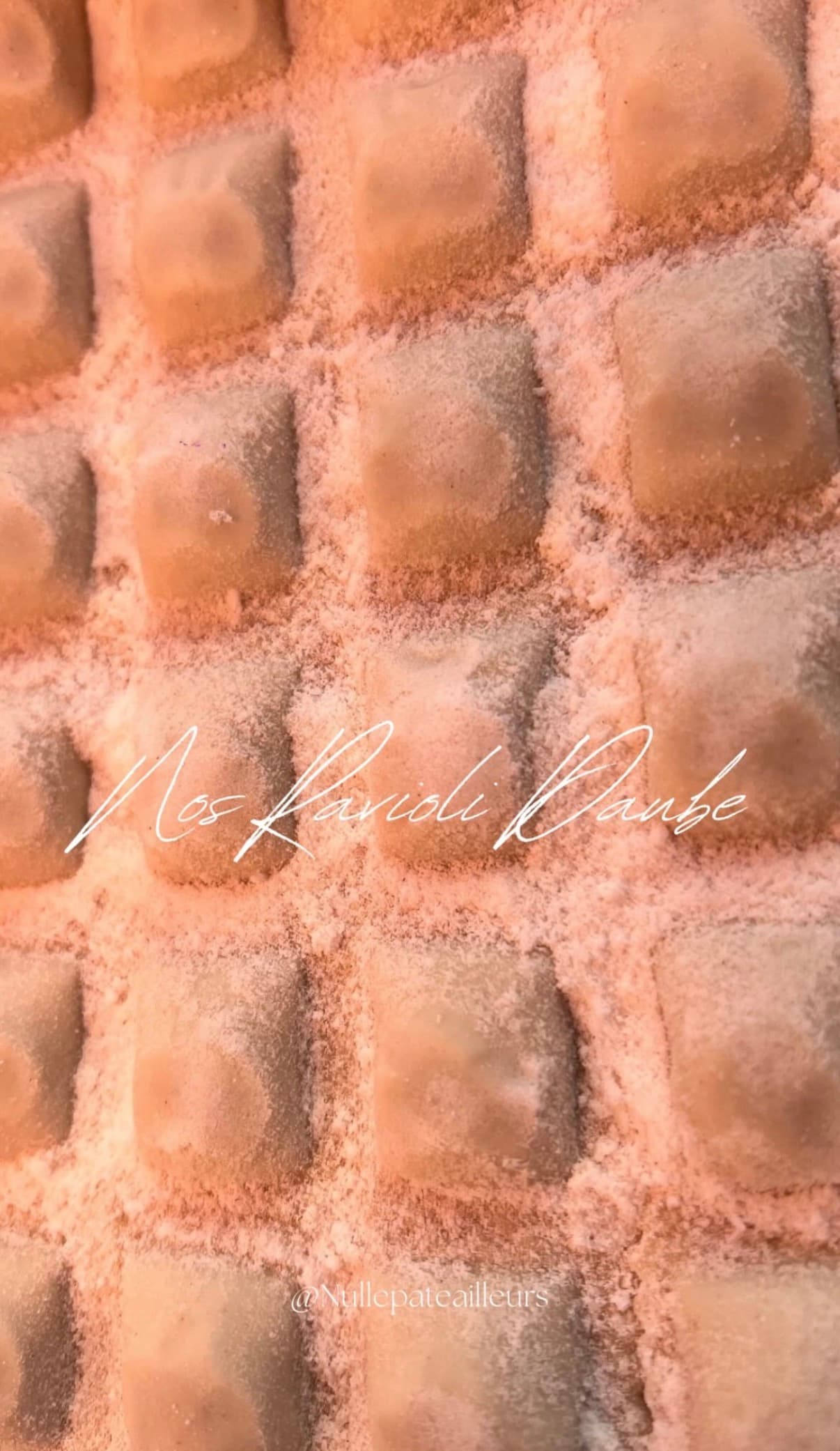 Ravioli à la daube