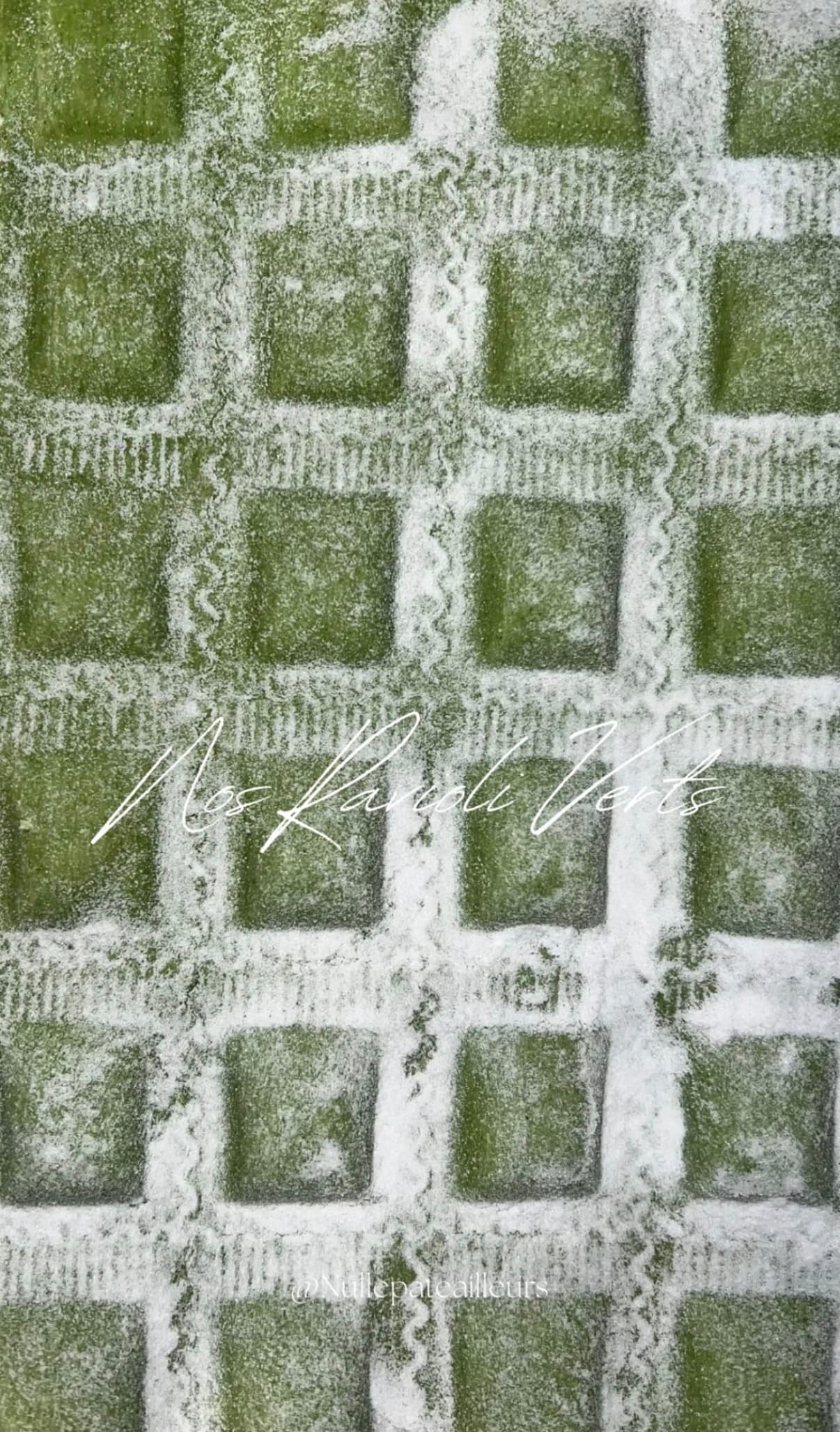 Raviolis verts
